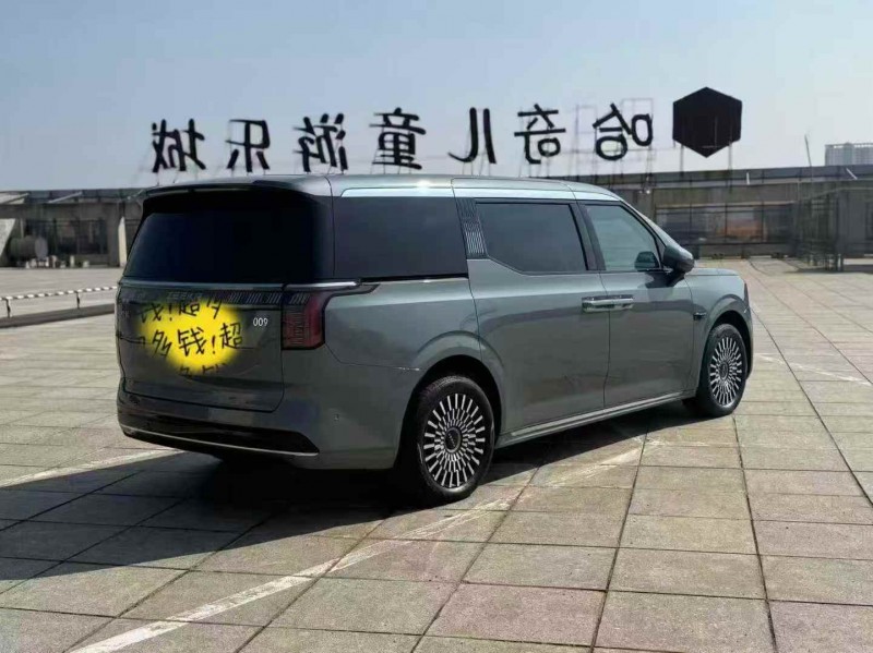 杭州24年极氪汽车0099