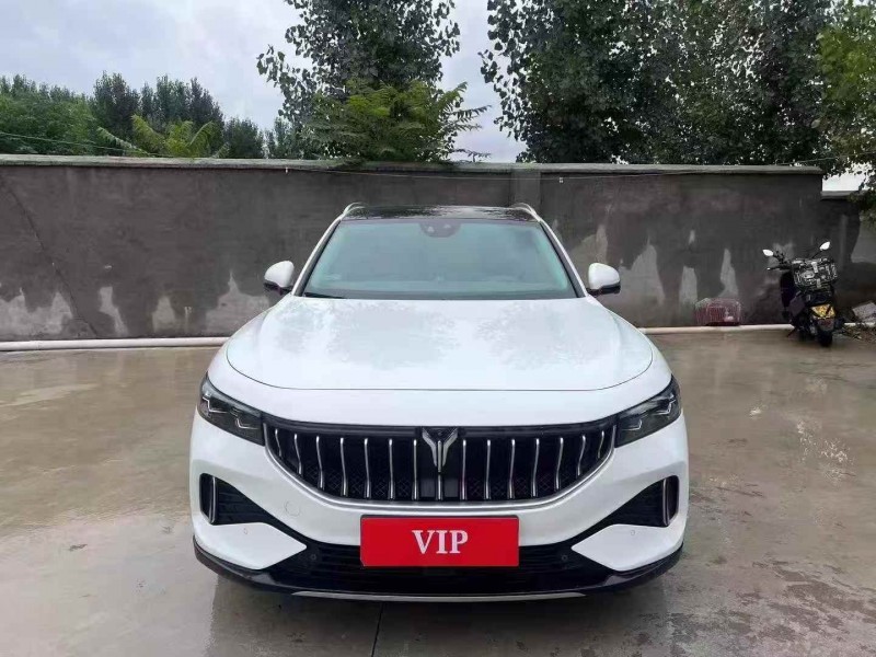 淄博22年岚图汽车FREE1