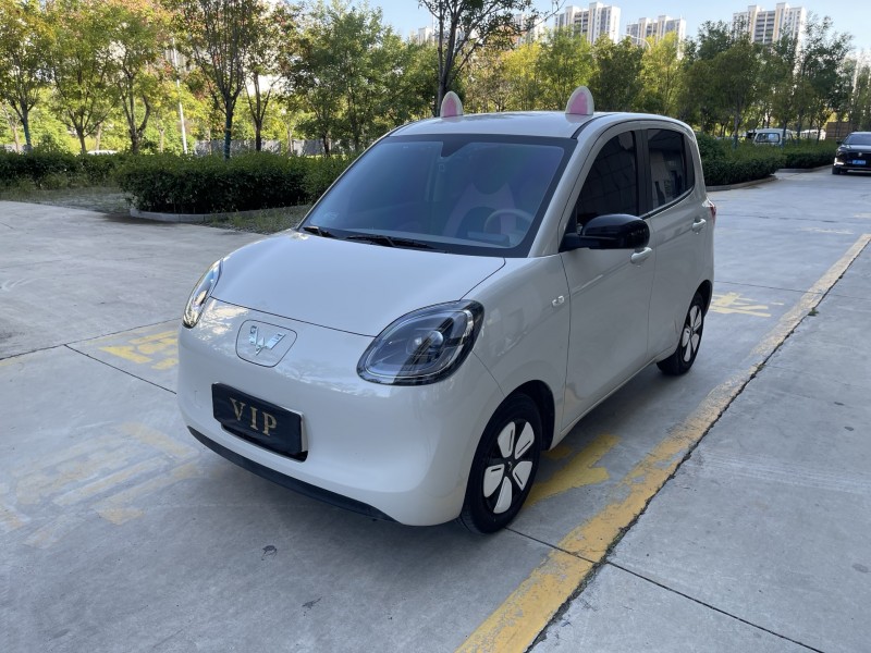 济宁25年五菱汽车MINIEV马卡龙3