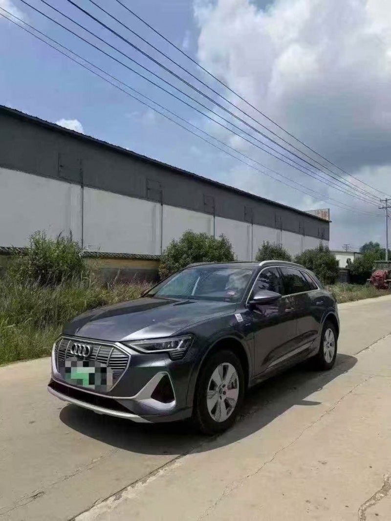 菏泽25年奥迪E-tron纯电2