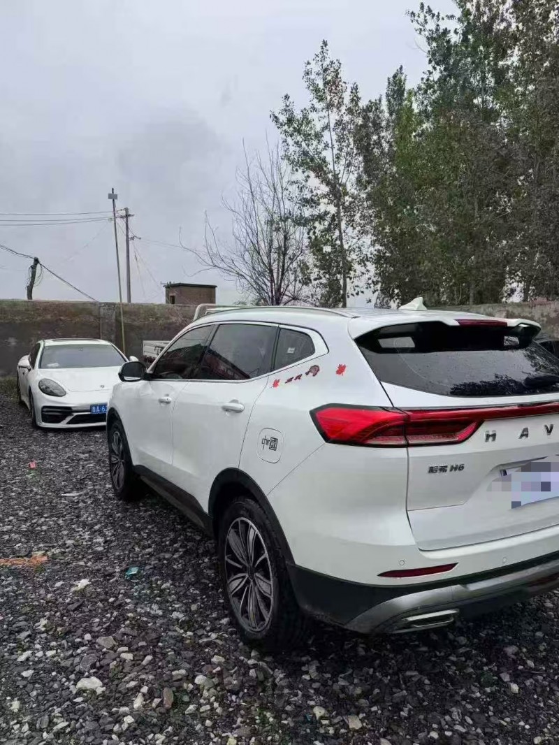 菏泽23年哈弗H67