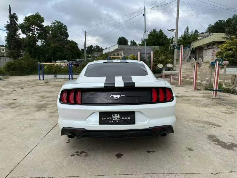 毕节20年福特野马9