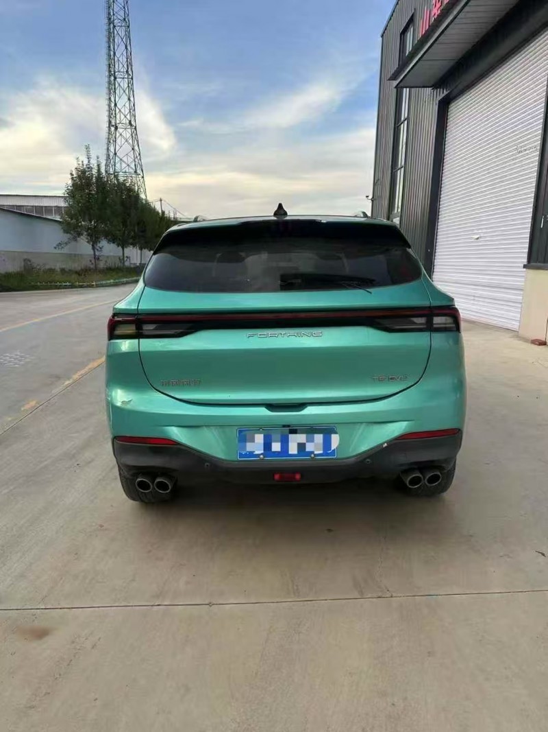 菏泽22年东风风行9