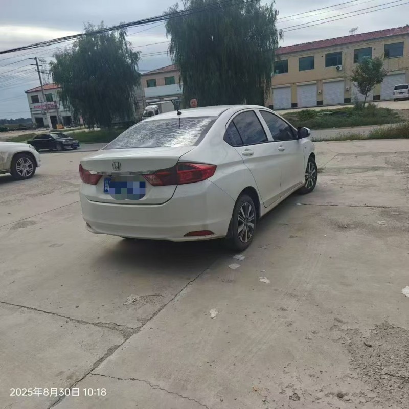 保定19年本田锋范8