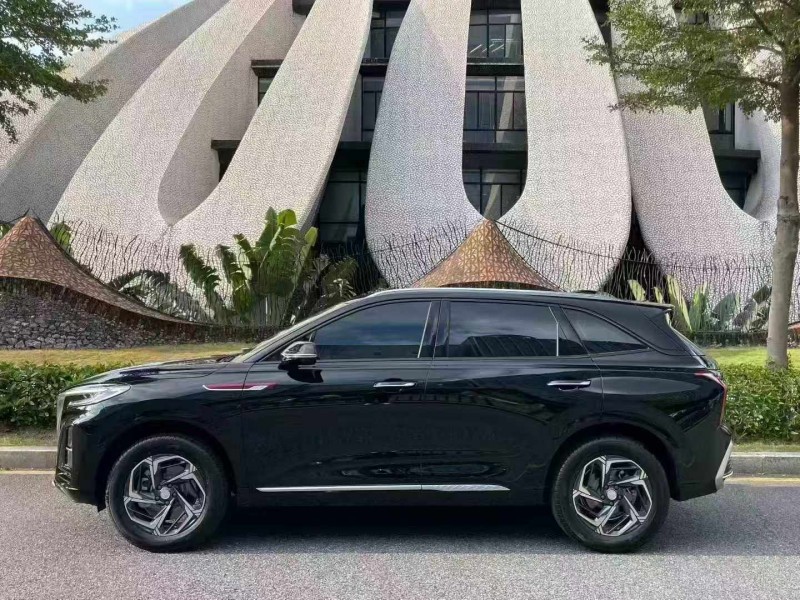 深圳25年红旗HS37