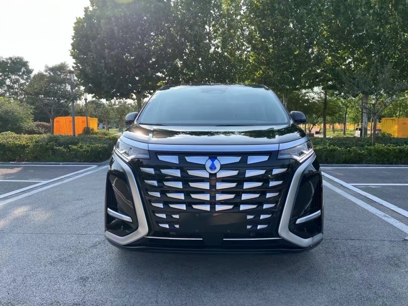 徐州23年腾势D91