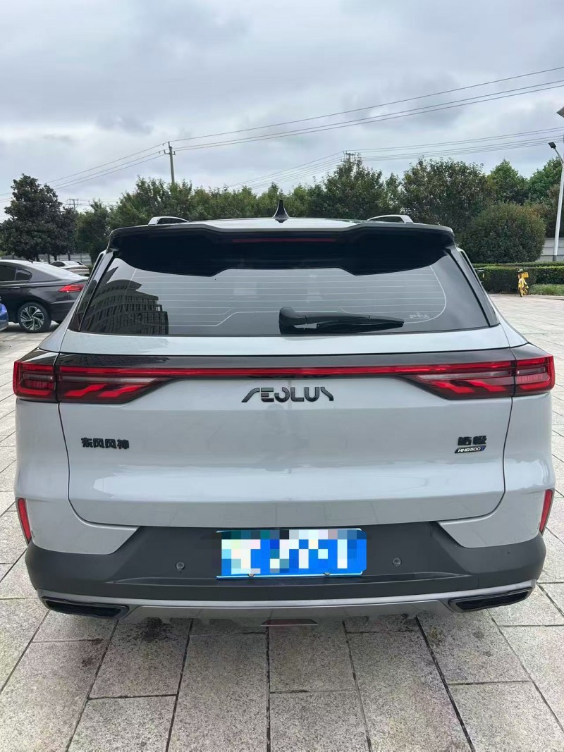 宜昌22年东风风神8