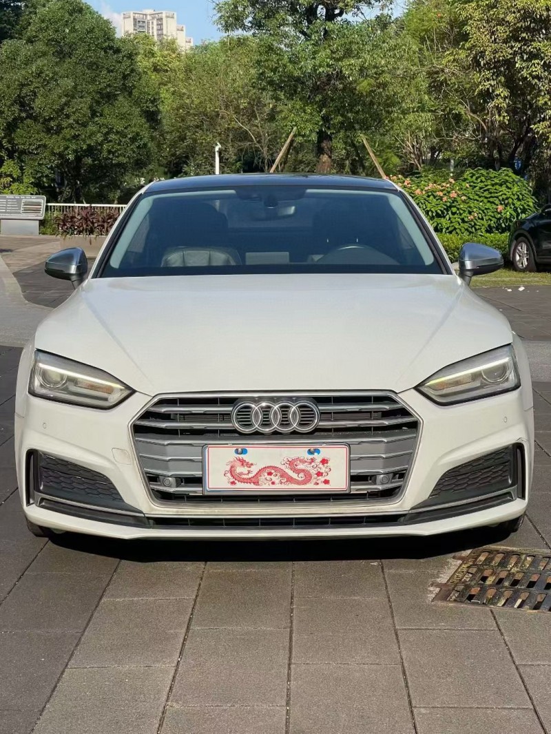 佛山17年奥迪A51