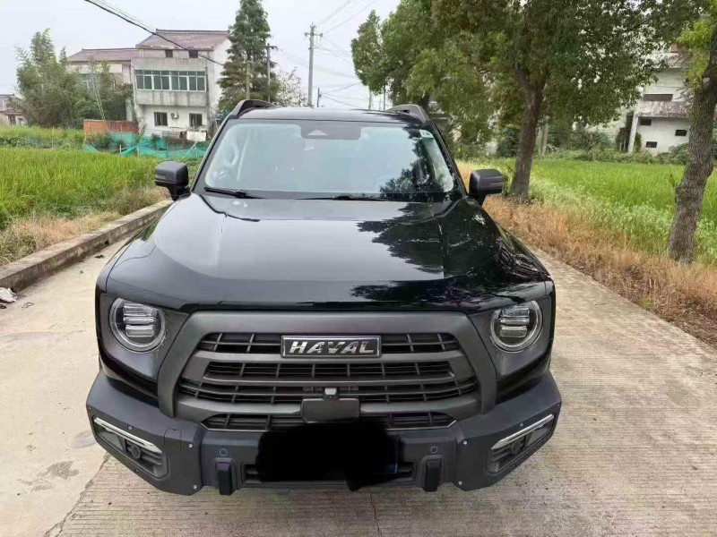 南通22年哈弗大狗1