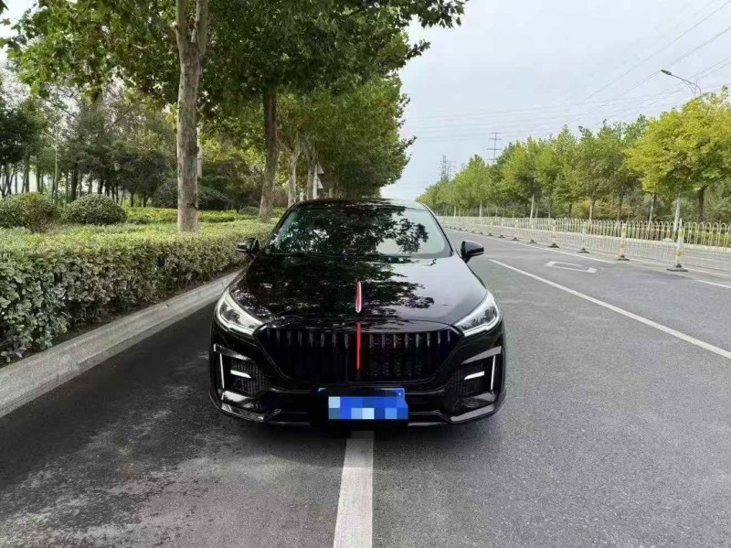 枣庄20年红旗H51