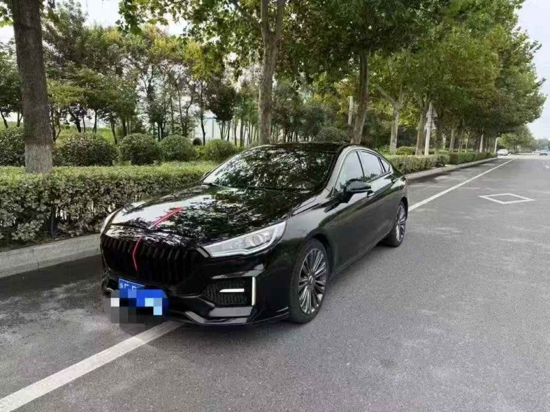 枣庄20年红旗H53