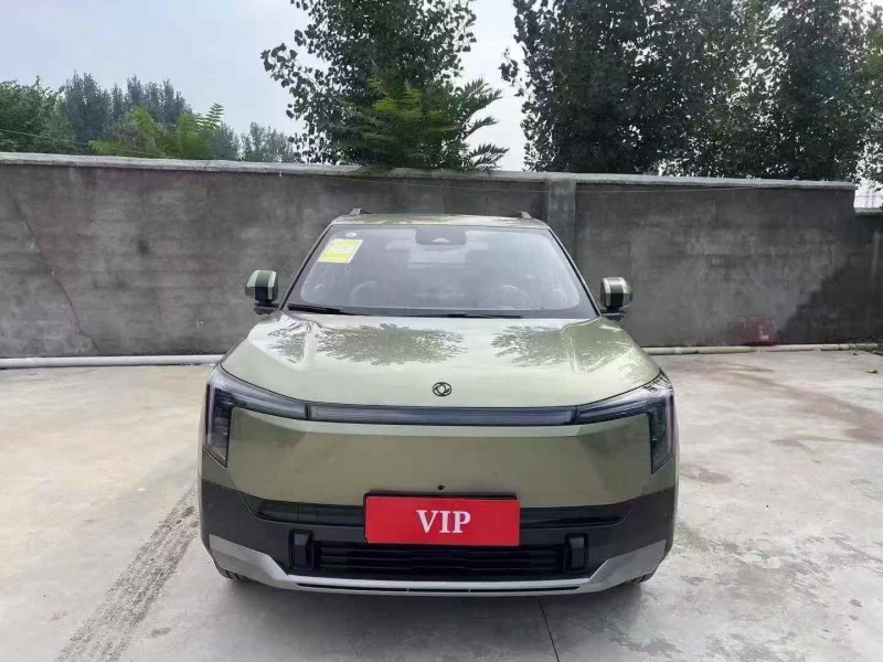 潍坊25年东风纳米1