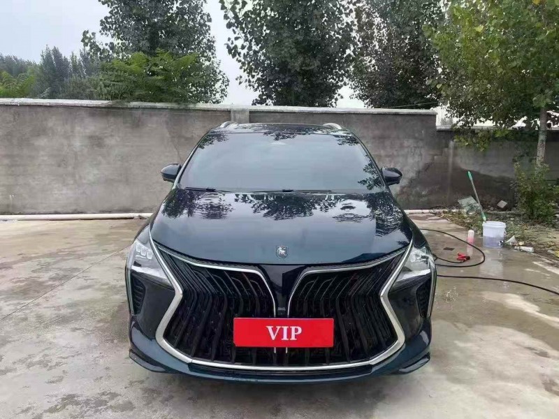 淄博24年东风风行1