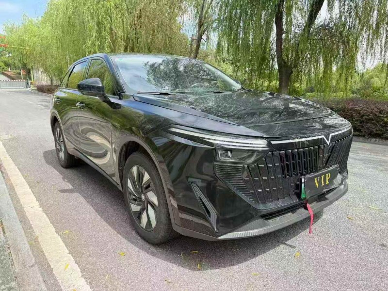 鹰潭24年启辰大V2