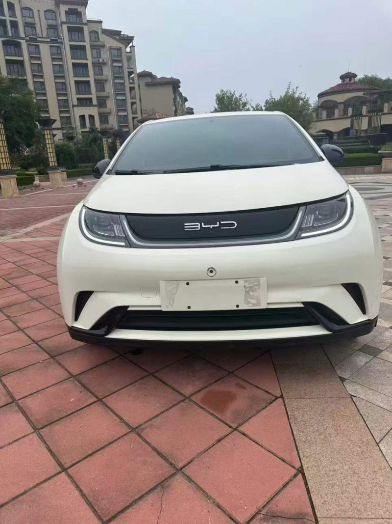 枣庄23年比亚迪海豚1