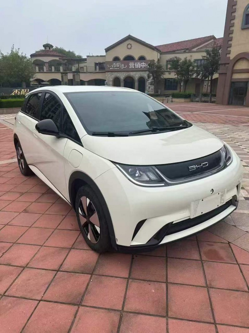 枣庄23年比亚迪海豚3