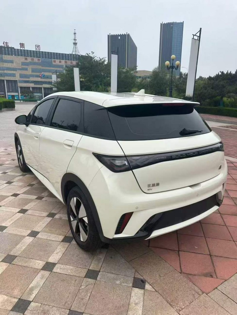 枣庄23年比亚迪海豚7