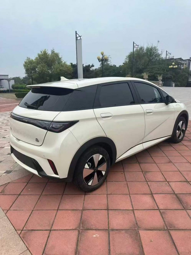 枣庄23年比亚迪海豚8