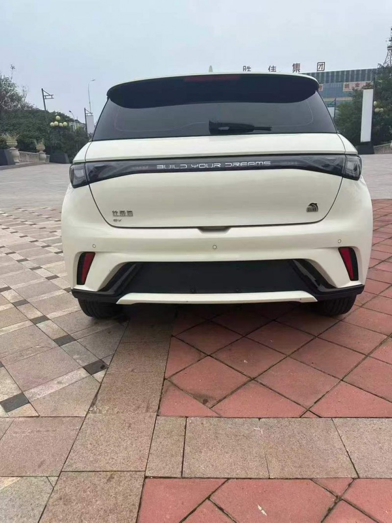 枣庄23年比亚迪海豚9