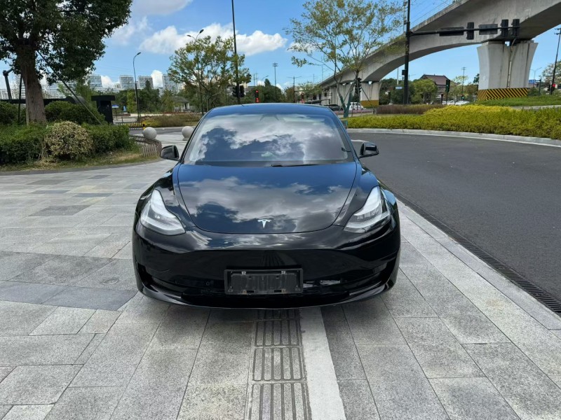 台州20年特斯拉MODEL 31