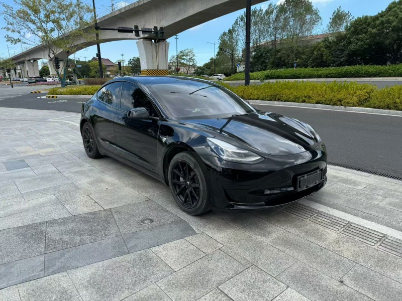 台州20年特斯拉MODEL 33
