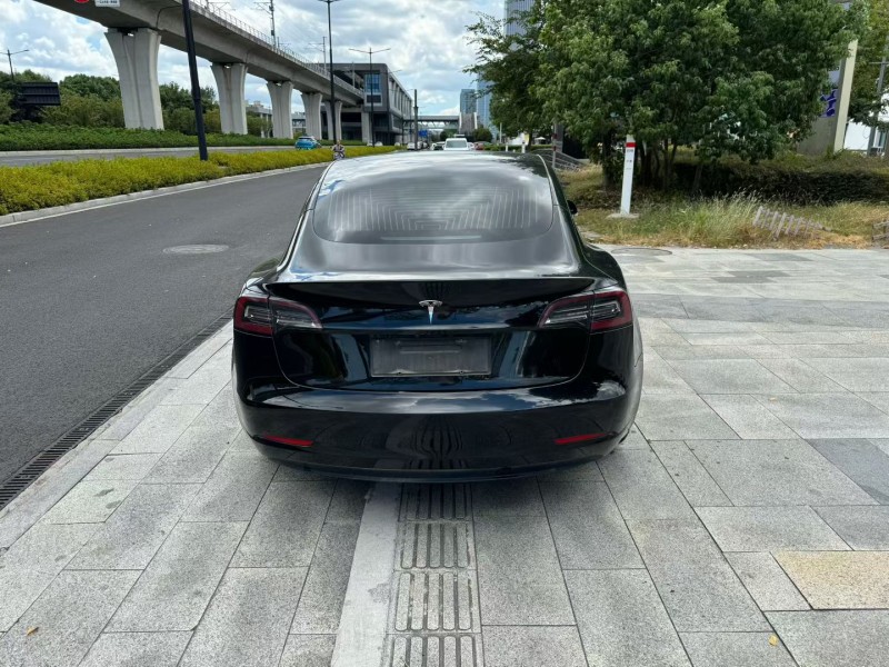 台州20年特斯拉MODEL 38