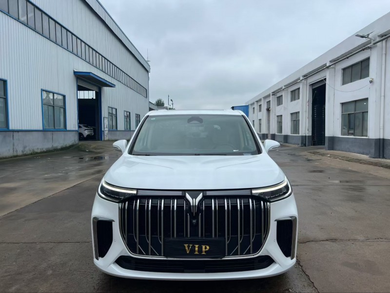 盐城25年岚图汽车梦想家1