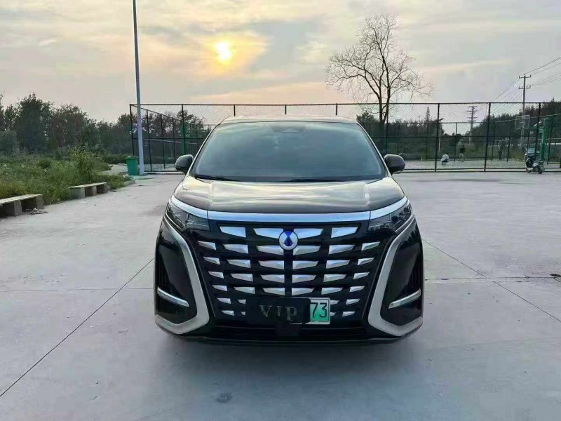 徐州24年腾势D91