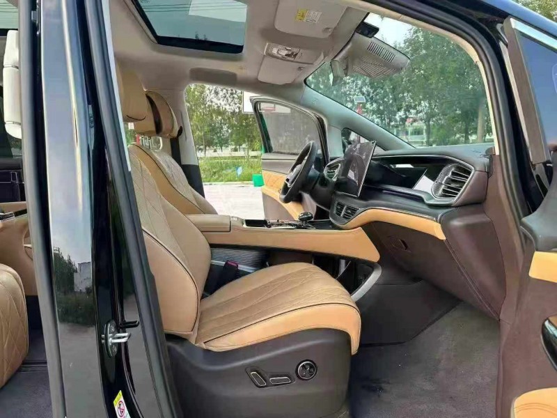 徐州24年腾势D95