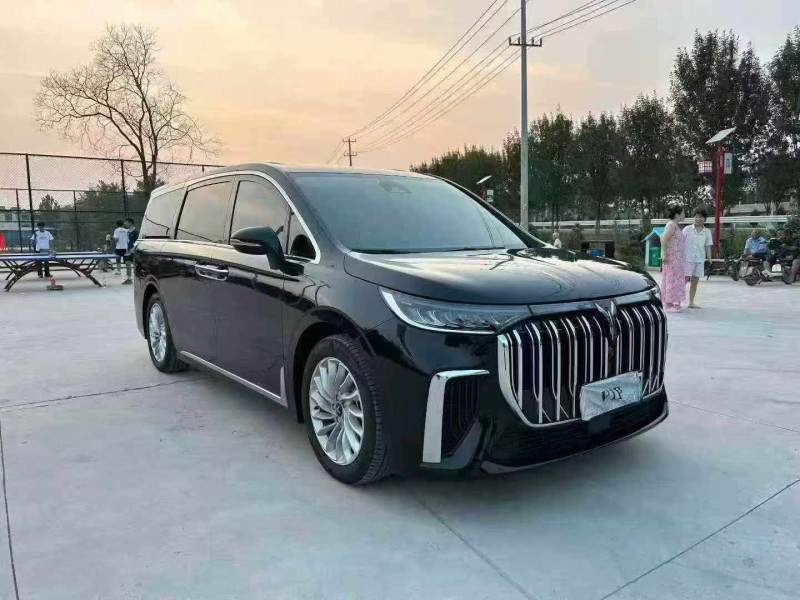 徐州24年岚图汽车梦想家2