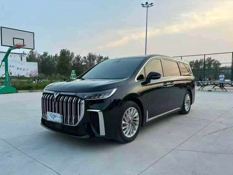 徐州24年岚图汽车梦想家3