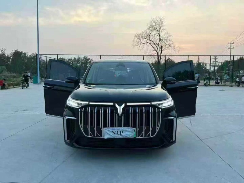 徐州24年岚图汽车梦想家8