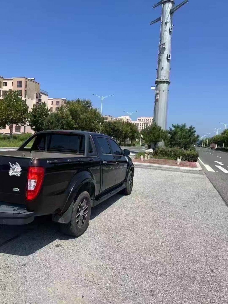 枣庄23年江铃域虎9