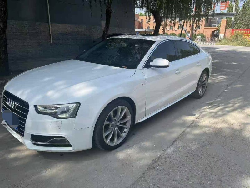 保定18年奥迪A52