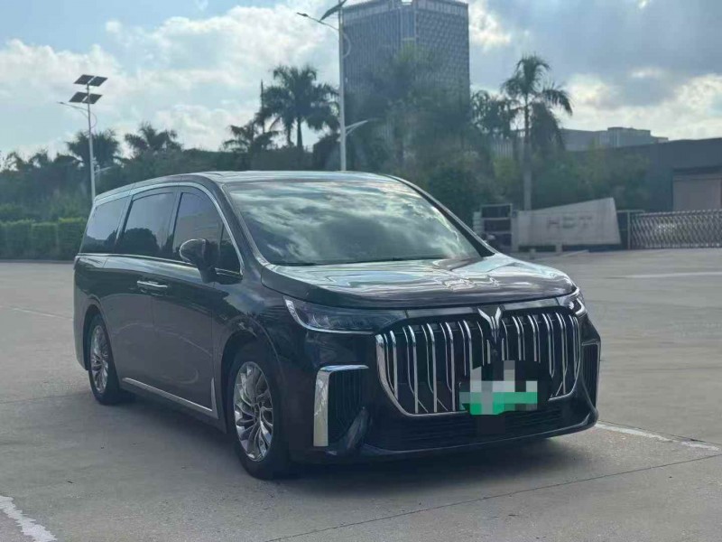 莆田24年岚图汽车梦想家2