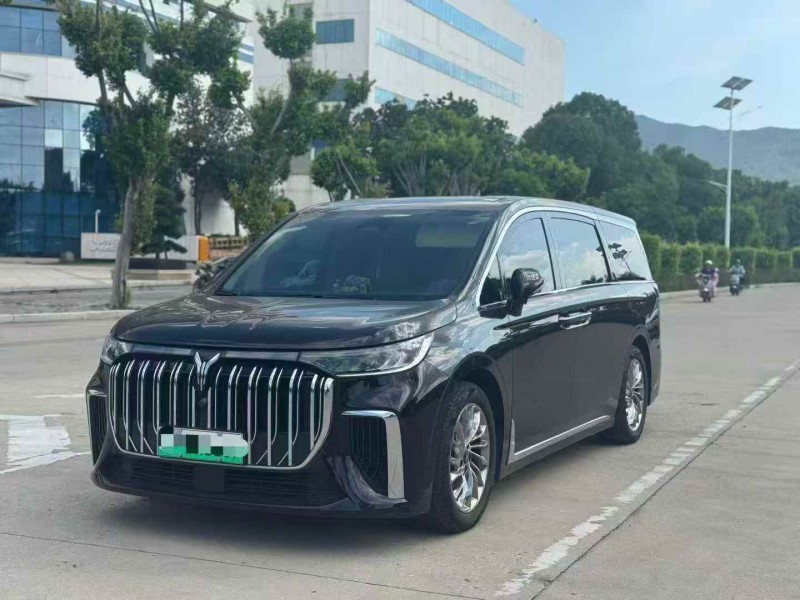 莆田24年岚图汽车梦想家3