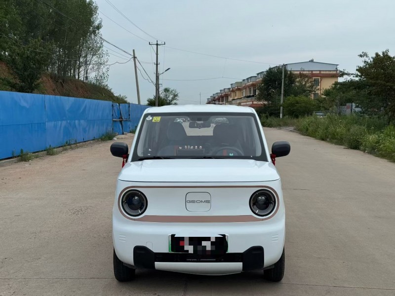 青岛25年吉利熊猫1