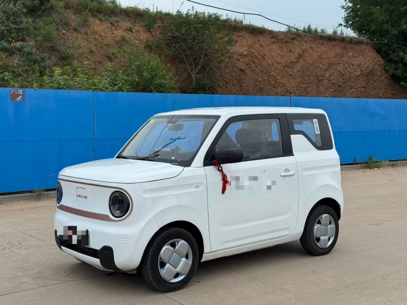 青岛25年吉利熊猫2