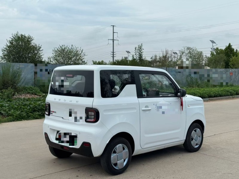 青岛25年吉利熊猫8