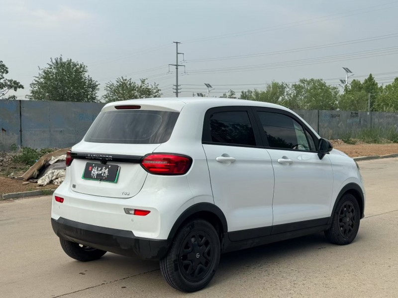 青岛23年零跑汽车T038