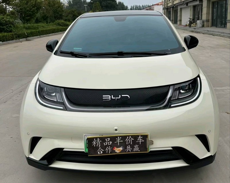 衡水25年比亚迪海豚1