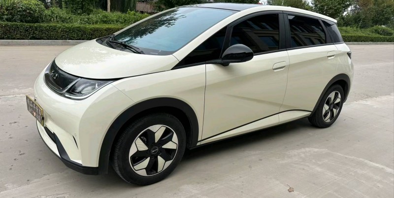 衡水25年比亚迪海豚2