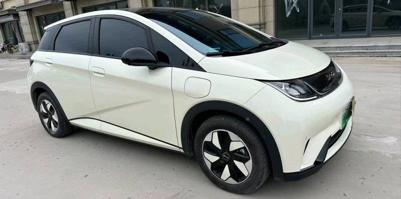 衡水25年比亚迪海豚3