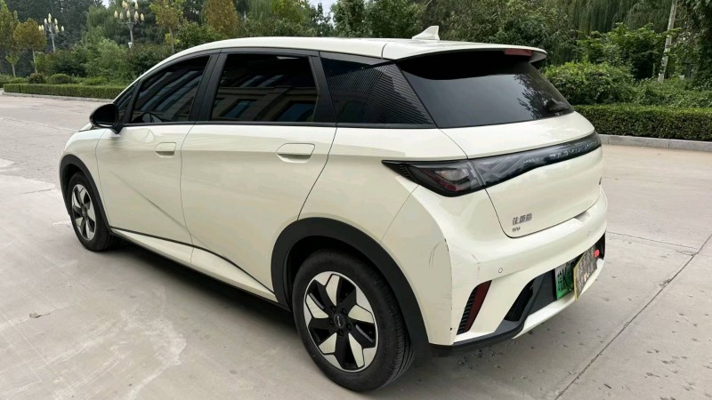 衡水25年比亚迪海豚6