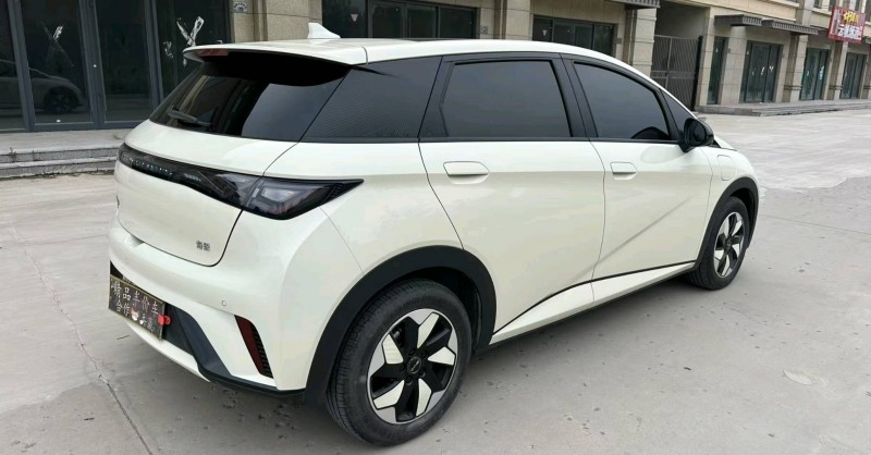 衡水25年比亚迪海豚7