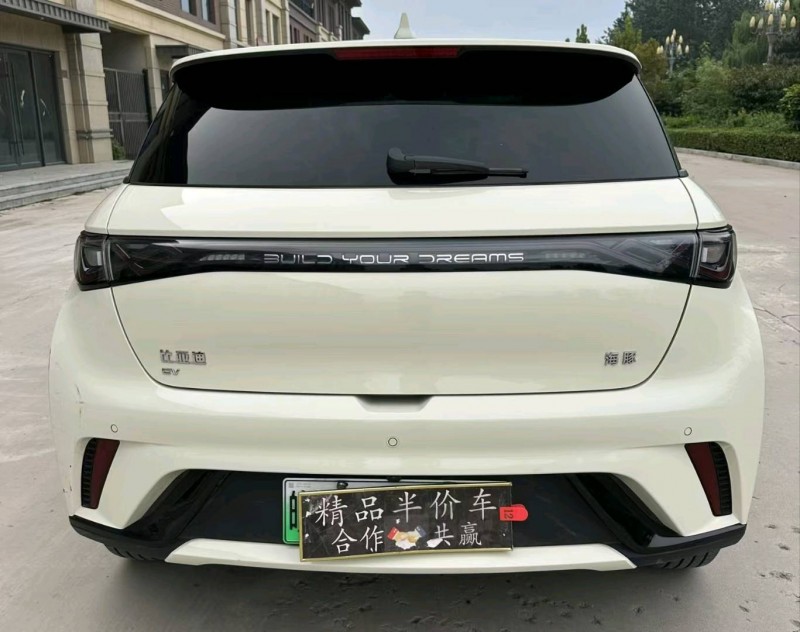 衡水25年比亚迪海豚8