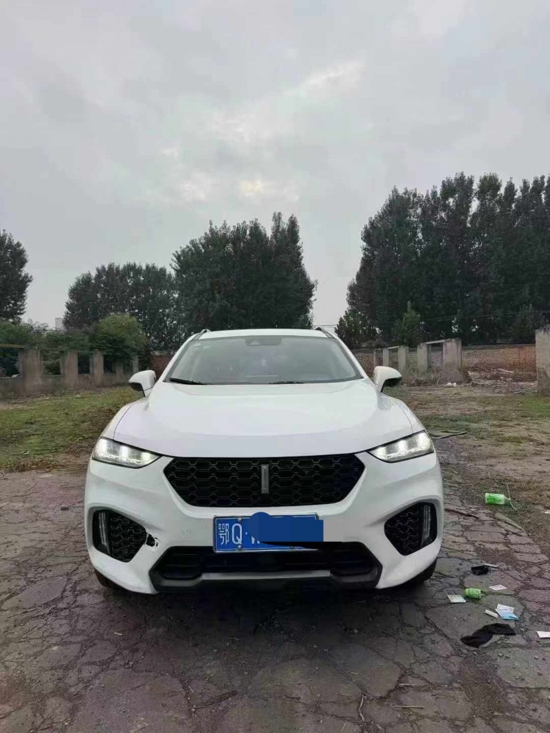 鹤壁18年长城汽车魏牌1