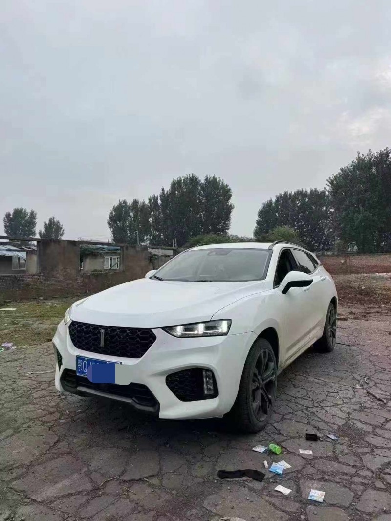 鹤壁18年长城汽车魏牌2