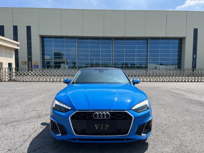 盐城22年奥迪A51