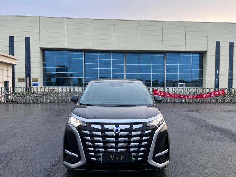 盐城24年腾势D91